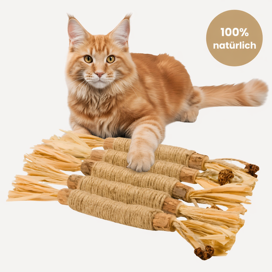 Nordrix Silberreben | Kaustäbchen für Katzen