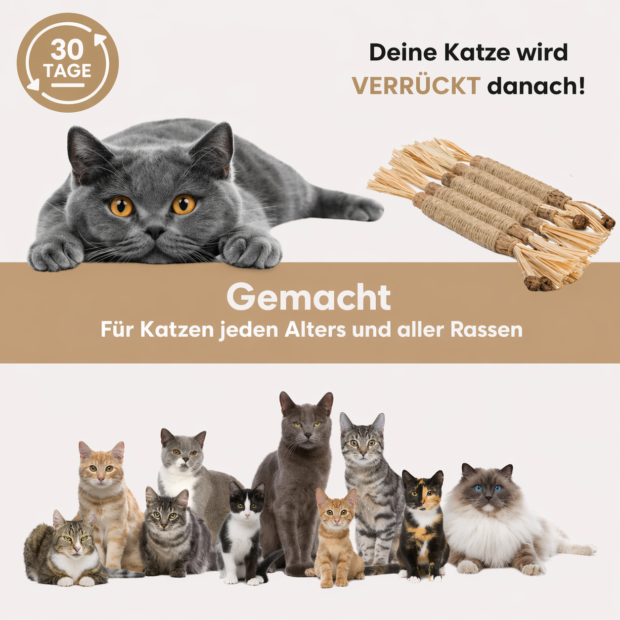 Nordrix Silberreben-Kaustangen für Katzen
