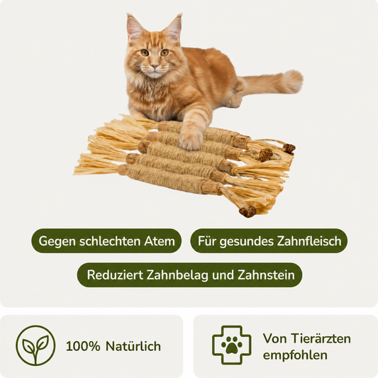 Nordrix Silberreben-Kaustangen für Katzen