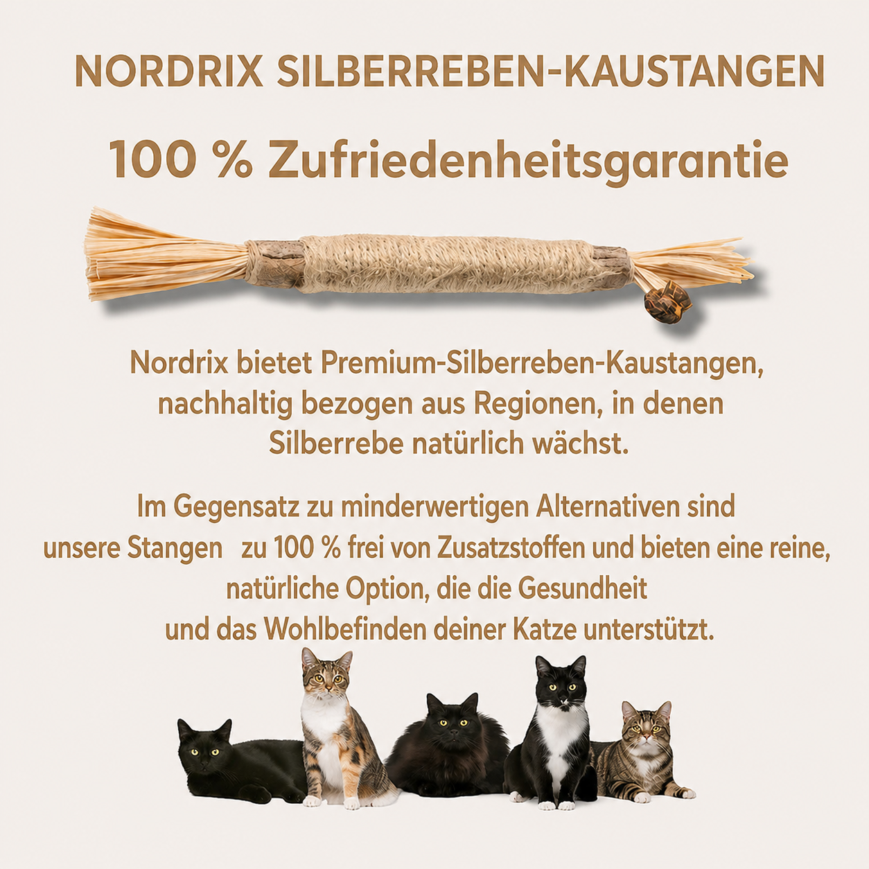 Nordrix Silberreben-Kaustangen für Katzen